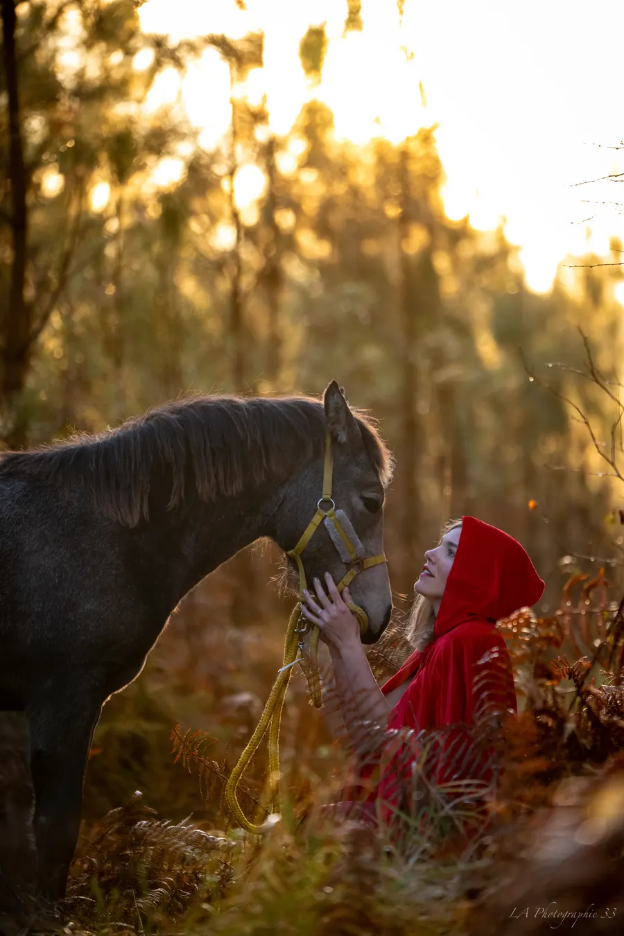 Jeune femme en cape rouge caressant un cheval en forêt, lumière dorée du coucher de soleil