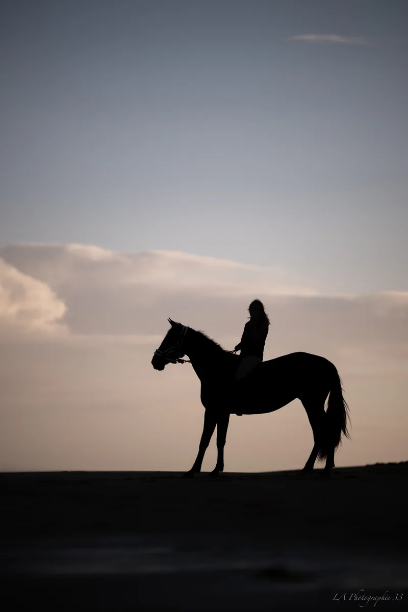 Silhouette d'une cavalière à cheval sur une crête au crépuscule