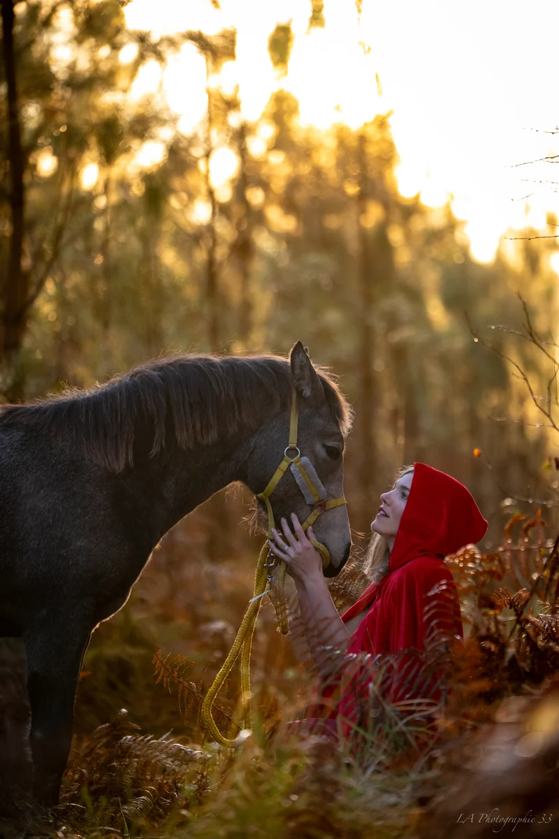 Jeune femme en cape rouge caressant un cheval en forêt, lumière dorée du coucher de soleil