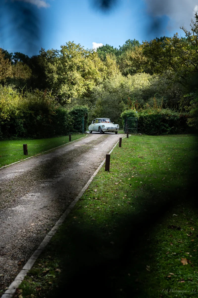 Voiture ancienne arrivant sur une allée bordée de haies, vue à travers des feuillages